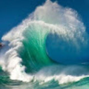 Meet your Posher, Sue